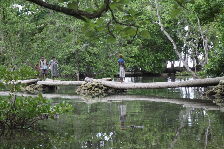 tree bridge